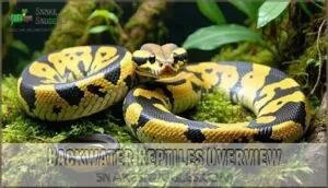 backwater reptiles overview backwater reptiles overview