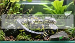 ball python care everything a beginner should know