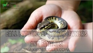 ball python safety for owners and families