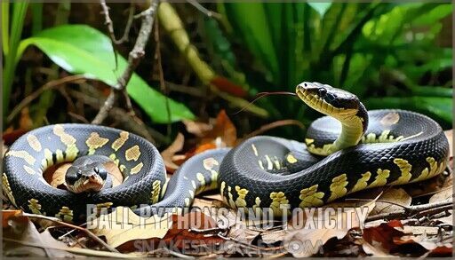 Are Ball Pythons Poisonous? Safety Facts Every Owner Should Know