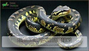 beautiful color patterns