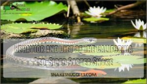 behavior and diet of the california red-sided garter snake