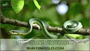 behavior and temperament behavior and temperament