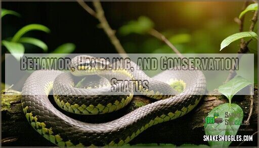 Hognose Snake Size and Lifespan: Complete Care Guide for Pet Owners - Hognose Snake Lifespan Pet
