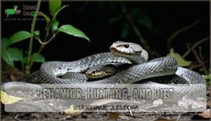 behavior, hunting, and diet