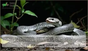 behavior, hunting, and diet behavior, hunting, and diet