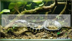 behavioral changes (restlessness, digging)
