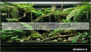 benefits of live plants