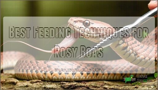 View of How to Feed a Rosy Boa Snake: Complete 2025 Care Guide