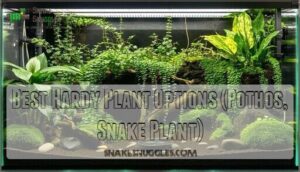 best hardy plant options (pothos, snake plant)
