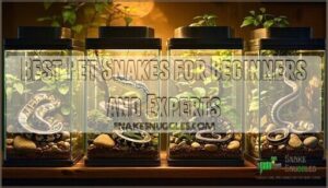 best pet snakes for beginners and experts