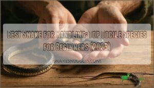 best snake for handling