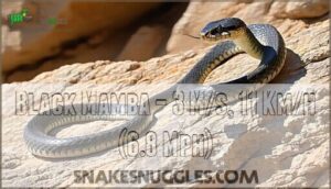 black mamba – 3 m/s, 11 km/h (6.8 mph)