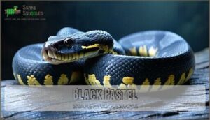 black pastel