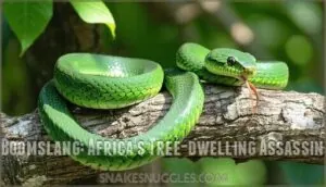 boomslang: africa's tree-dwelling assassin boomslang: africa's tree-dwelling assassin