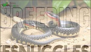 breeding
