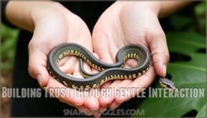 building trust through gentle interaction