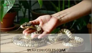 building trust with your snake building trust with your snake