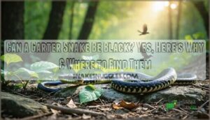 can a garter snake be black