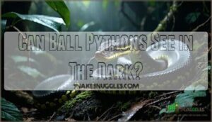 can ball pythons see in the dark