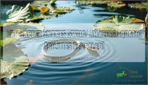 can garter snakes swim