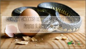 can pet snakes eat eggs