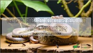 can rosy boas eat crickets
