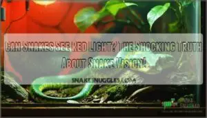 can snakes see red light a quick answer