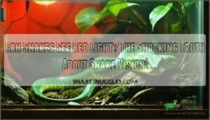 can snakes see red light a quick answer can snakes see red light a quick answer
