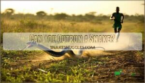 can you outrun a snake