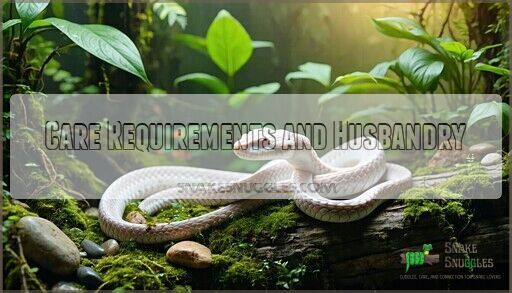 Picture of What is an Albino Corn Snake? Complete Guide & Care Tips 2025