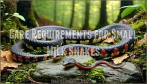 care requirements for small milk snakes