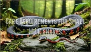 care requirements for small milk snakes care requirements for small milk snakes