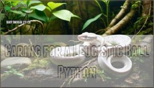 caring for a leucistic ball python