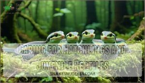 caring for hatchlings and juvenile reptiles