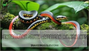 central and south american milksnakes