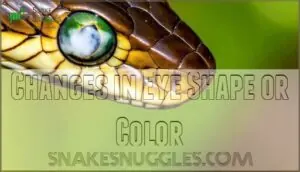 changes in eye shape or color changes in eye shape or color