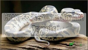 changes in skin color and texture