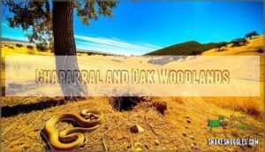 chaparral and oak woodlands
