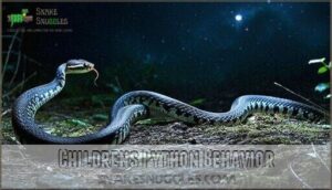 childrens python behavior