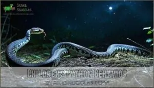 childrens python behavior childrens python behavior