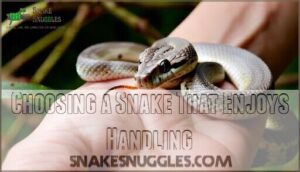 choosing a snake that enjoys handling