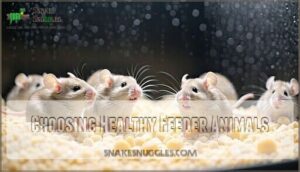 choosing healthy feeder animals