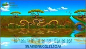 coastal plains and marshes