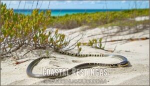 coastal restingas