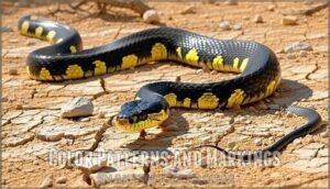 color patterns and markings