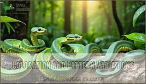 coloration and pattern variations