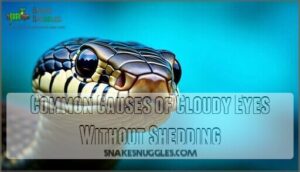common causes of cloudy eyes without shedding