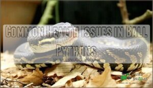 common health issues in ball pythons