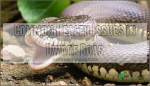 common health issues in dwarf boas